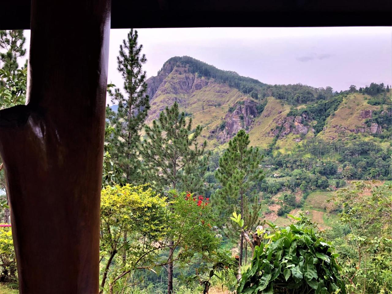 The Ella Valley Екстериор снимка